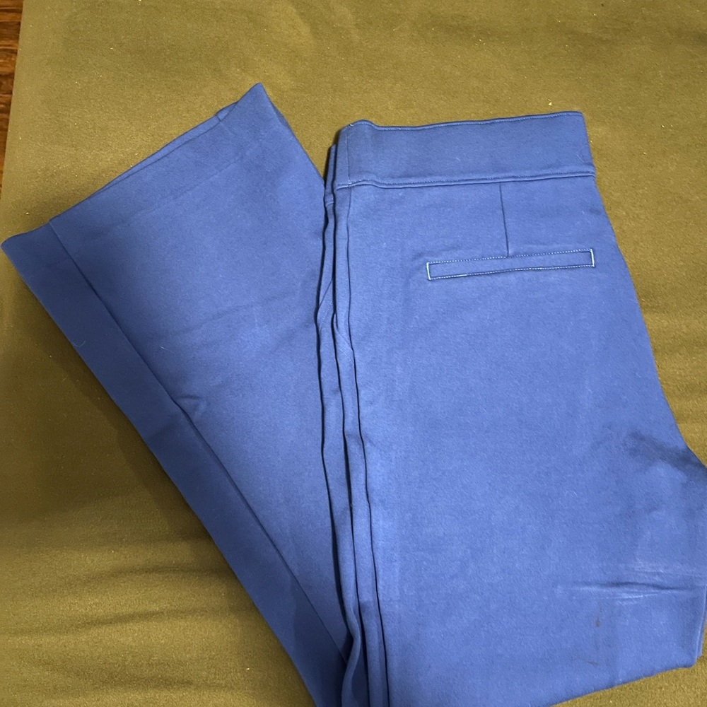 SPANX Women's Blue Chinos